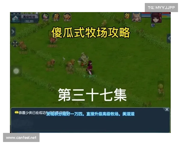 牧场升级攻略 牧场升级攻略